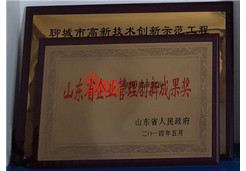 山東省企業(yè)管理創(chuàng)新成果獎